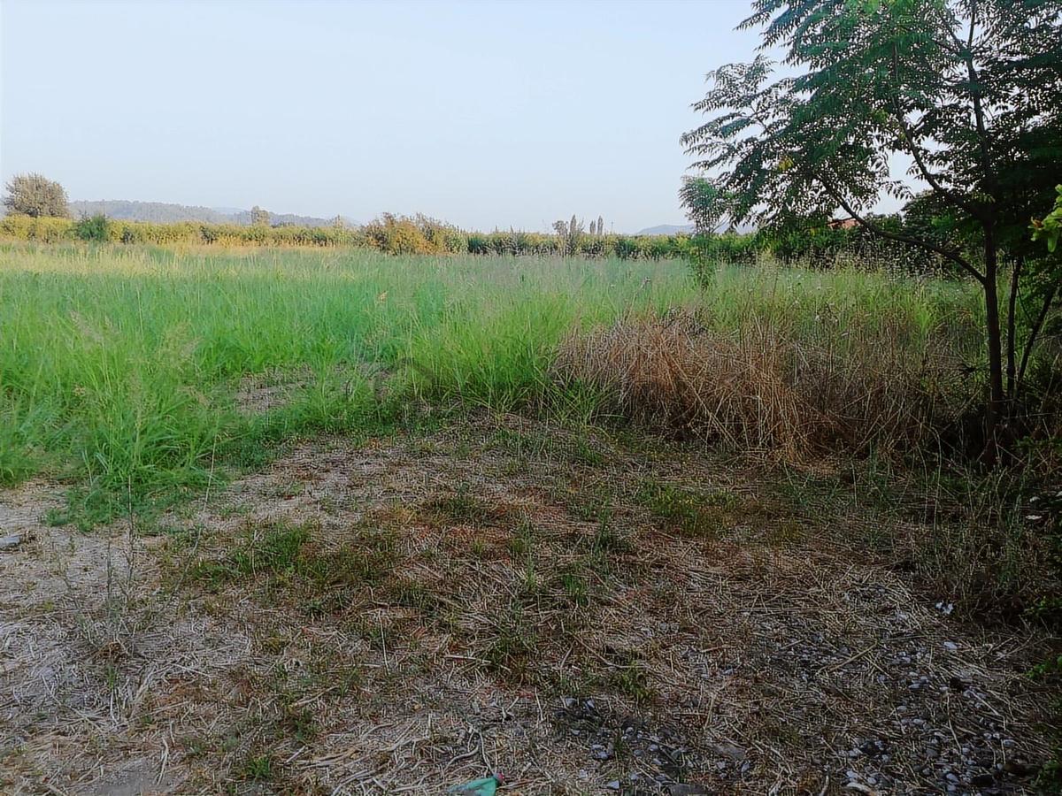 Asil Emlaktan Ortaca Yeşilyurt Köyünde Satılık 2000m² Arsa - 7