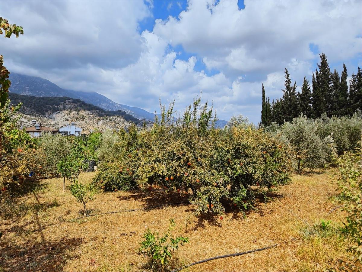 Çığlık Orta Mahallede Büyük Villa Parseli - 12