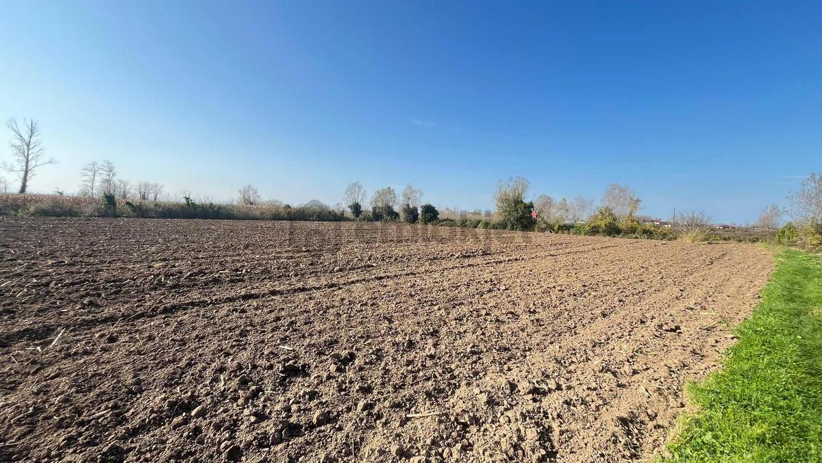 Akdur'dan Çarşamba Karamustafalı'da Satılık 7700m² Tarla - 11