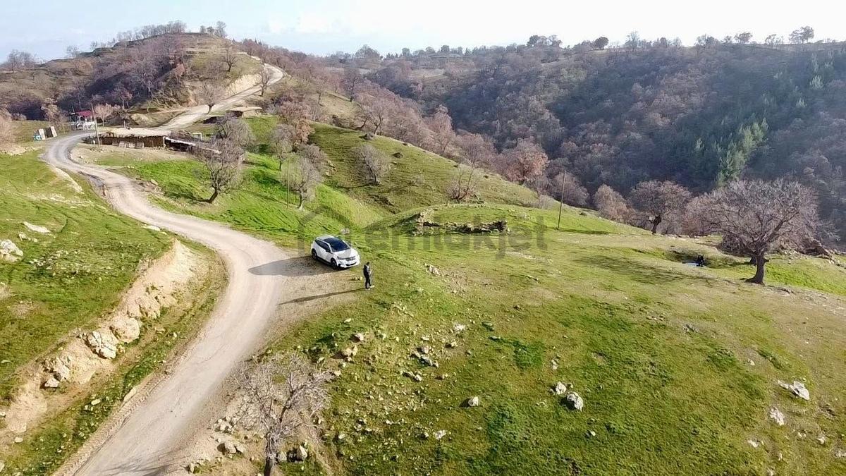Buharkent Muratdağında 6.243 M² Satılık Tarla - 4