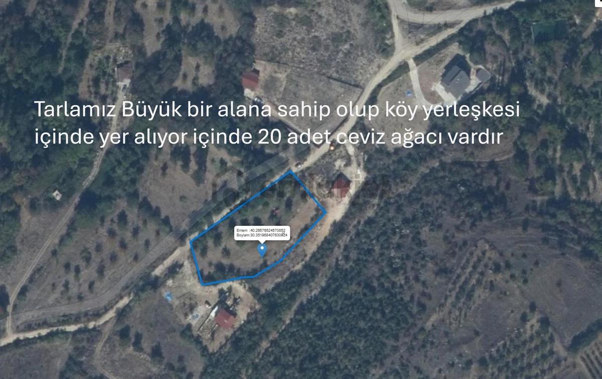Fırsat Tarlamız Köy İçinde Yolu Elektrik Suyu Var - 6