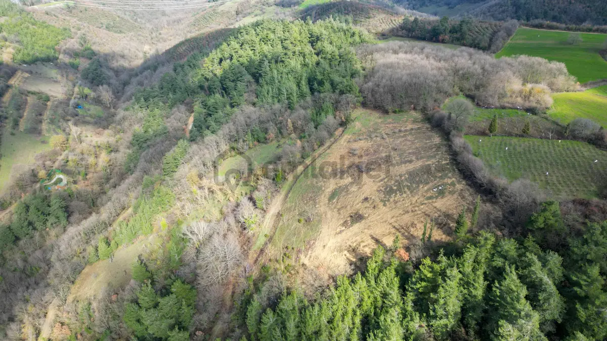 Kocaeli Karamürsel Çamdibi 6.034 M2 Satılık Tarla - 2