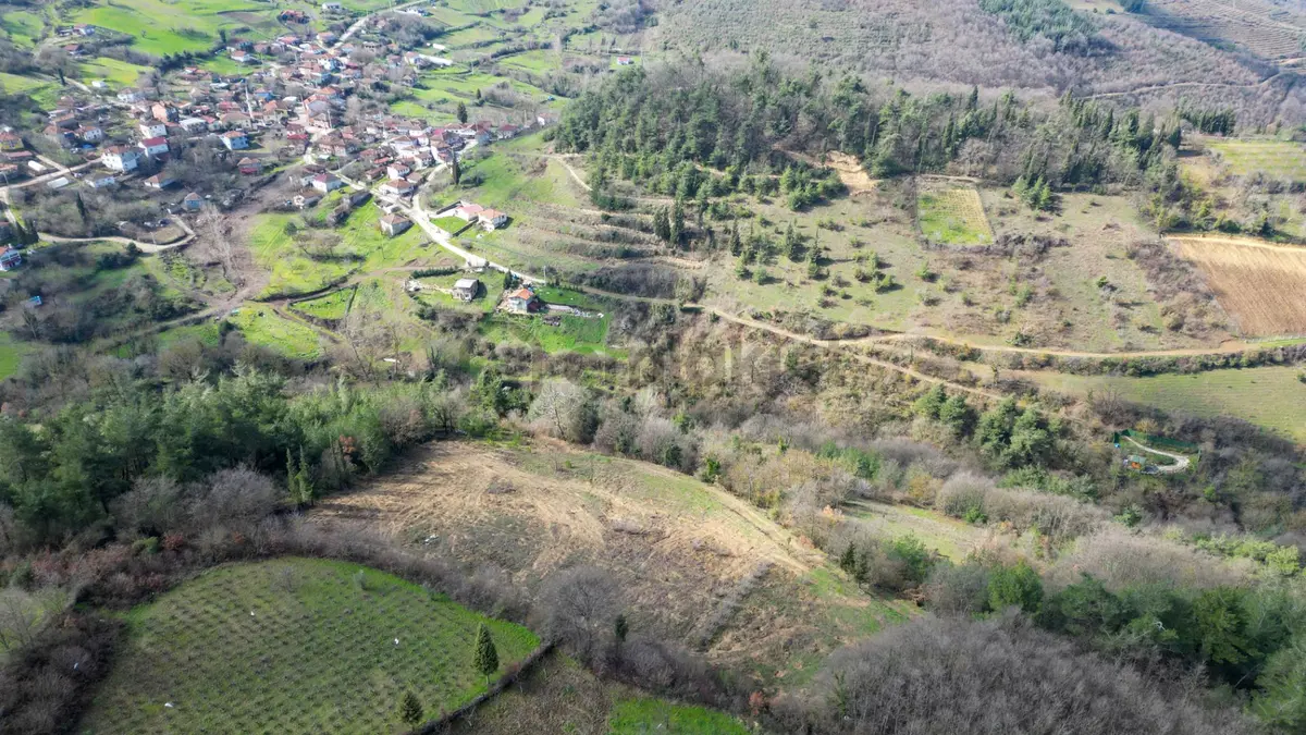 Kocaeli Karamürsel Çamdibi 6.034 M2 Satılık Tarla - 7