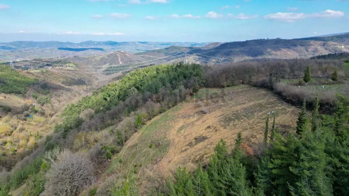 Kocaeli Karamürsel Çamdibi 6.034 M2 Satılık Tarla - 12