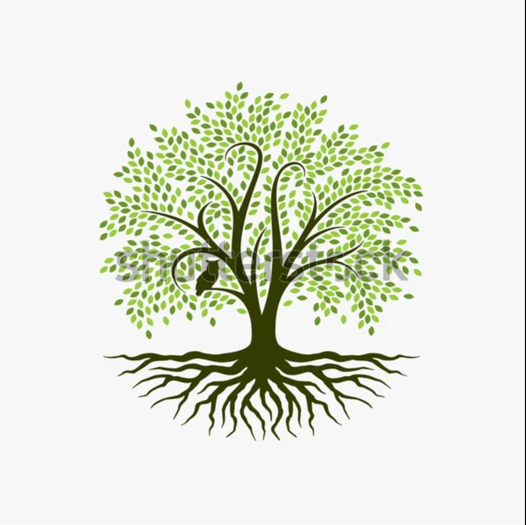 MERT  logo