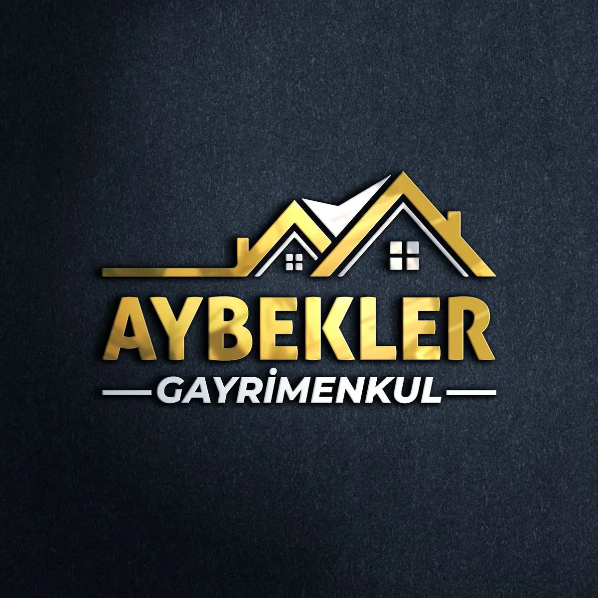 Cenk  Aybek logo