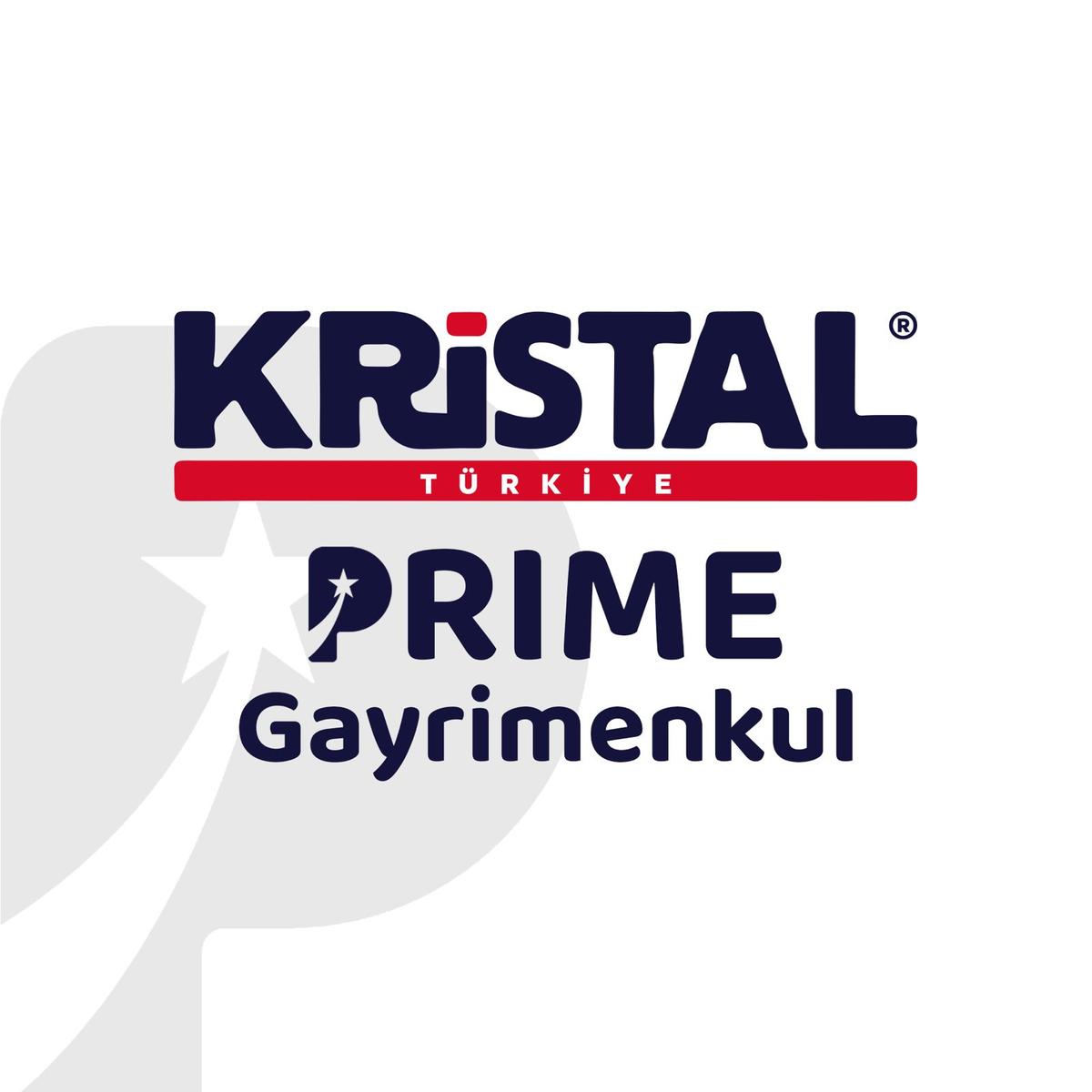 Erkin  Keskin logo