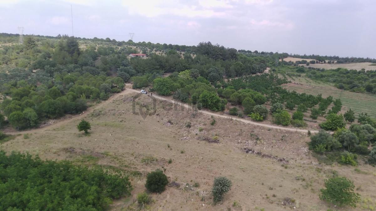 Çanakkale Ezine Çamlıca Yola Cephe Kupon Arazi - Görünüm 6