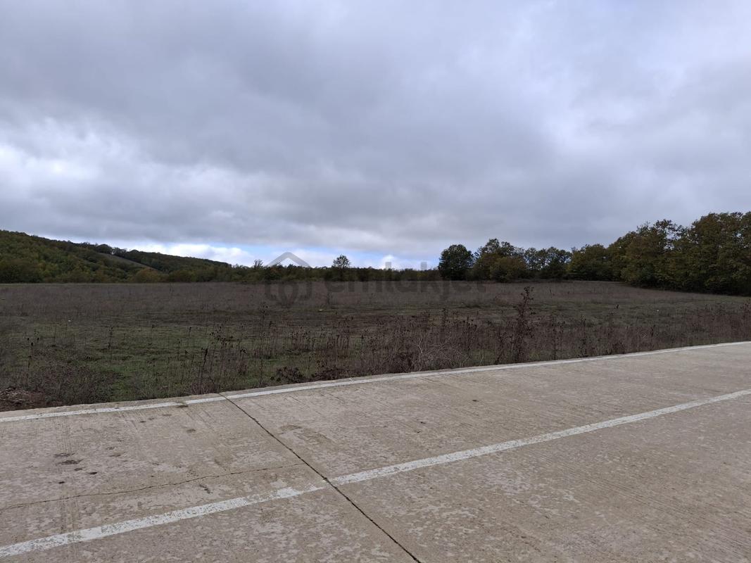 Sahibinden: Kavak-asarcık Karayoluna Yakın, Beton Yola Cepheli Tarla - Görünüm 3