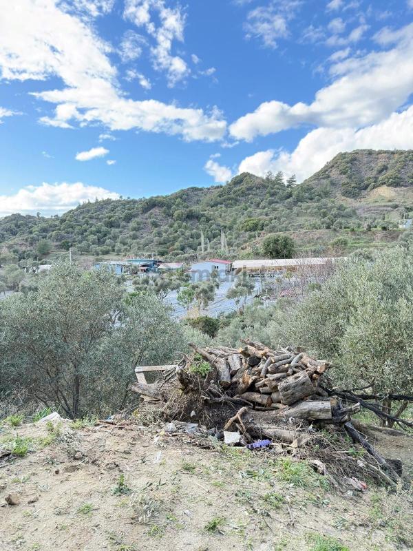 Söke Kuşadası Yolunda 7 Dönüm Satılık Arazi - Görünüm 3