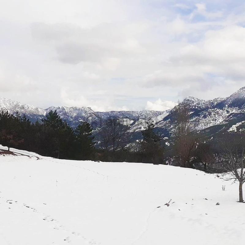 Kar Emlaktan Yeni Konacık Körmenlik Mevkiinde 500 M2 Satılık Arsa - Görünüm 4