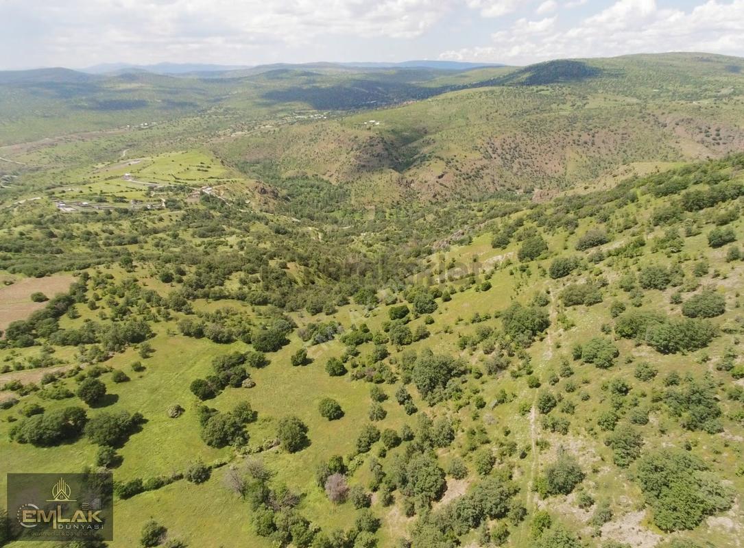 Ayaş Yağmurdede Mah.de Tek Tapu 1.499 M2 Bağ Yeri - Görünüm 4