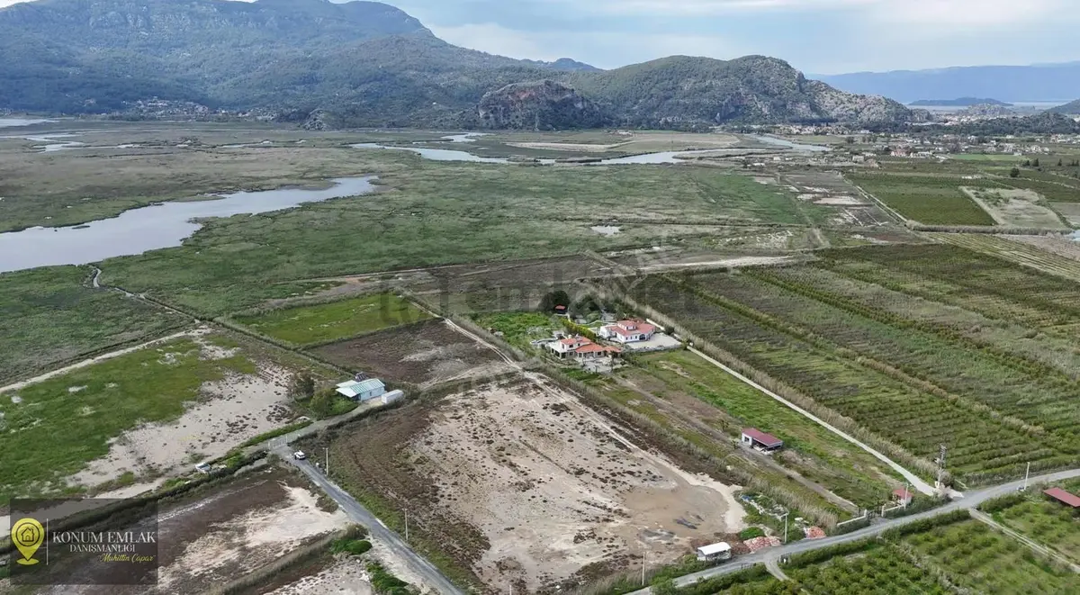 Muğla Ortaca Dalyan Satılık 2.000 M2 Tarla - Görünüm 2