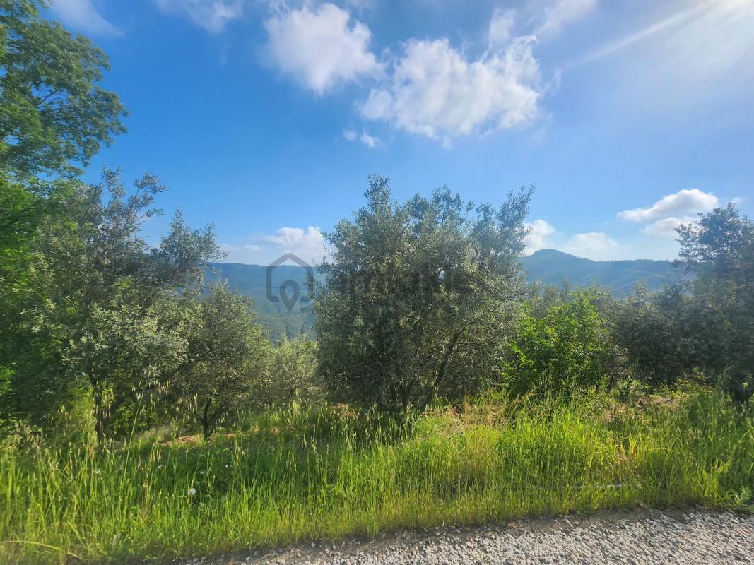 Alanya Çamlıca Köyü Satılık 2400 M2 Müstakil Tapulu Tarla - Görünüm 4