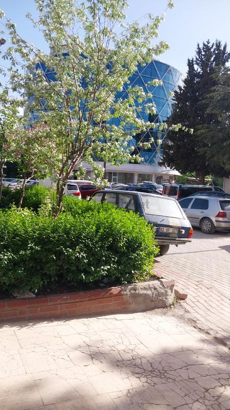 Şirin Gayrimenkulden Satılık Dükkan - Görünüm 5
