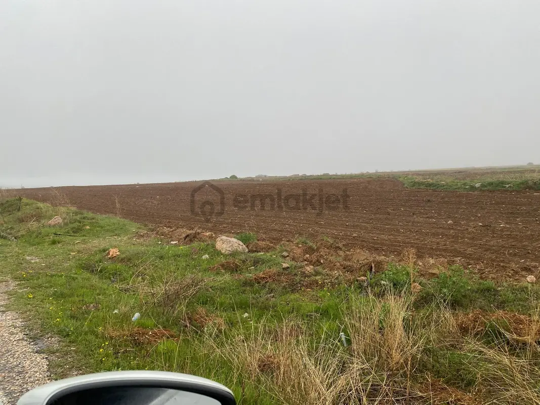 Kadınhanı Şahören'de Yola Cepheli Müstakil Satılık Tarla - View 2