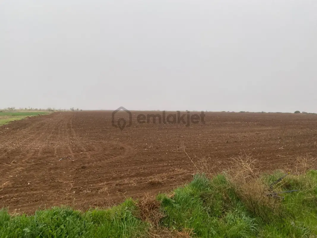 Kadınhanı Şahören'de Yola Cepheli Müstakil Satılık Tarla - View 4