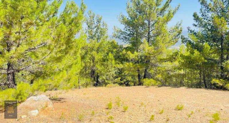 Muğla Menteşe'de Tek Tapu 15.998m² Tarla - Yatırıma Uygun! - View 5