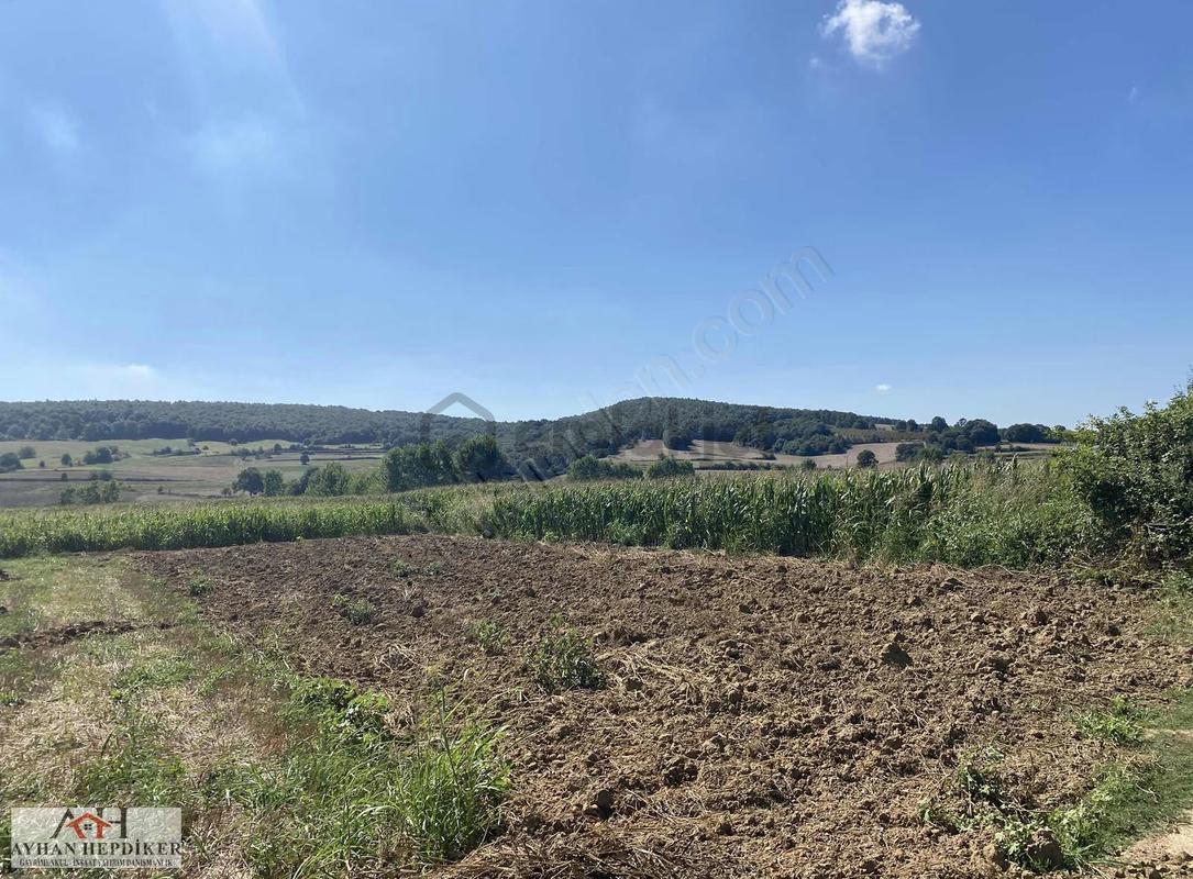 Adapazarı Salmanlı Da Baraj Yakınında 1368 m² Yatırımlık Tarla - Görünüm 5