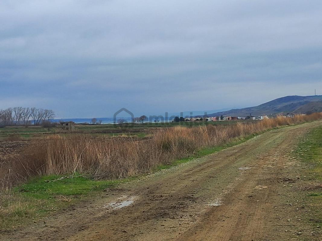 Deniz, Doğa Ve Boğaz Manzaralı Sahile 500m, 19.334 M2 Tarla - Görünüm 5