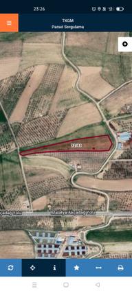 Ena Group Malatya Akçadağ Doğu'da 21.000 M2 Satılık Tarla Ena Group Malatya Akçadağ Doğu'da 21.000 M2 Satılık Tarla