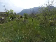 Yenikaş Yağrat Yaylası 1206m² Deniz Manzaralı Yenikaş Yağrat Yaylası 1206m² Deniz Manzaralı