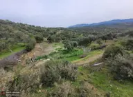 Akman'dan Havran'da 3 Yola Cepheli İmara Yakın Zeytinlik Akman'dan Havran'da 3 Yola Cepheli İmara Yakın Zeytinlik