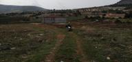 Uyaran79gayrimenkulden İçinde 2+1 Evi Olan 250 Fidanlı Zeytinlik
