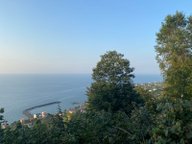 Trabzon Çarşıbaşı Kerem Mahallesi 2.507m2 Satılık Arsa Trabzon Çarşıbaşı Kerem Mahallesi 2.507m2 Satılık Arsa