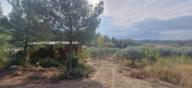Dağ Ve Orman Manzaralı Zeytinlik + Ahşap Ev Dağ Ve Orman Manzaralı Zeytinlik + Ahşap Ev