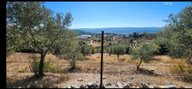 Mugla Yenikoy Mastalanda Acil Satilik Yolu Olan Tarla. Mugla Yenikoy Mastalanda Acil Satilik Yolu Olan Tarla.
