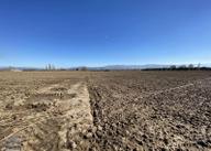 Balıkesir Burhaniye De Satılık 74.000 Metre Kare Tarla