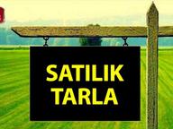 Cafana'da Satılık Tarla Cafana'da Satılık Tarla