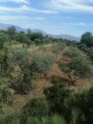 Pirlibey Mahallesinde Satılık Hobi Bahçesi