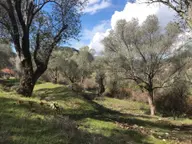 Çengerde Huzurlu Doğa Ortamında Pazarlıklı Satılık Arsa Fırsat