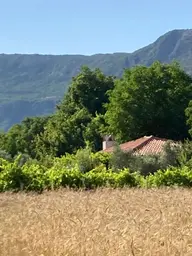 Ana Yola 500mt Mesafede Yaraş Mevkii De Satılık Tarla