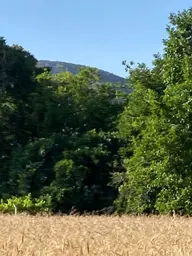Ana Yola 500mt Mesafede Tarla