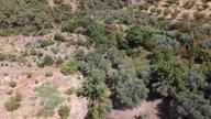 Allahdiyen 40.298 M2 Satılık Zeytin Ve Kiraz Bahçesi Allahdiyen 40.298 M2 Satılık Zeytin Ve Kiraz Bahçesi