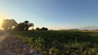Öz Gaye Emlaktan Develi Gaziköy Karayer Mevkiinde Satılık Tarla Öz Gaye Emlaktan Develi Gaziköy Karayer Mevkiinde Satılık Tarla