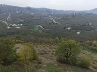 Re/max Maviden İmar Sınırında Doğa Manz. 6800 M2 Fındık Bahçesi