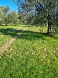 Premar Ayvada'dan Gömeç Karaağaç Sahil'de Villa İmarlı 300 M2 Premar Ayvada'dan Gömeç Karaağaç Sahil'de Villa İmarlı 300 M2