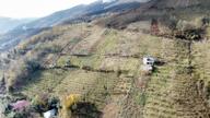 Trabzon Akçaabat'ta Satılık Arazi Trabzon Akçaabat'ta Satılık Arazi