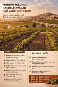 Yatırımlık Üzüm Bağı Yatırımlık Üzüm Bağı
