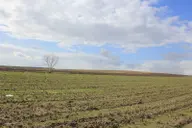 Bursa Karacabey Tophisar Yatırımlık 2650m2 Tarla Bursa Karacabey Tophisar Yatırımlık 2650m2 Tarla