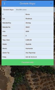 Rw Land Gayrimenkul Den Altıntaş Ta 2800 M2 Zeytinlik Rw Land Gayrimenkul Den Altıntaş Ta 2800 M2 Zeytinlik