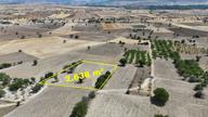 2.638 M² / Konya / Beyşehir / Yenidoğan / Tarla 2.638 M² / Konya / Beyşehir / Yenidoğan / Tarla