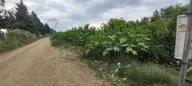 Muğla Ortaca Fevziye De Denize Yakın Müstakil Tapulu 6.200 M2 Bahçe Satılık Muğla Ortaca Fevziye De Denize Yakın Müstakil Tapulu 6.200 M2 Bahçe Satılık