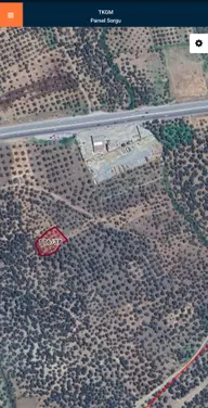 Golden Globy, Havran Mescit Mahallesinde Satılık 1.844 M2 Zeytinlik Golden Globy, Havran Mescit Mahallesinde Satılık 1.844 M2 Zeytinlik