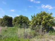 Ortaca Marmarlı’da Dağ Ve Doğa Manzaralı 1.500 M² Müstakil Arsa Satılık Ortaca Marmarlı’da Dağ Ve Doğa Manzaralı 1.500 M² Müstakil Arsa Satılık
