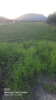Ortaca Fevziye 2500 M2 Tarla Ortaca Fevziye 2500 M2 Tarla